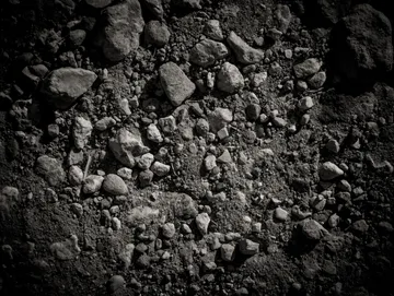 Clean dirt for a 10 cubic yard container